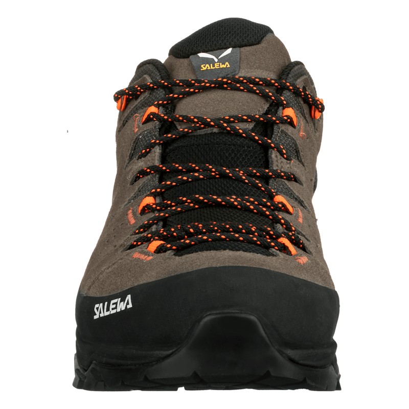 Alp Trainer 2 Gore-Tex® Shoe Men