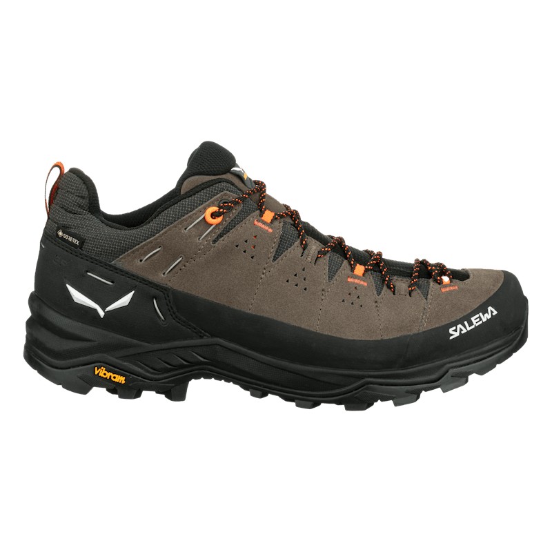 Alp Trainer 2 Gore-Tex® Shoe Men