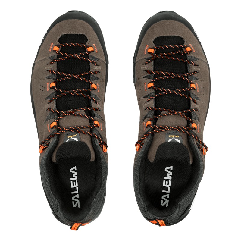 Alp Trainer 2 Gore-Tex® Shoe Men