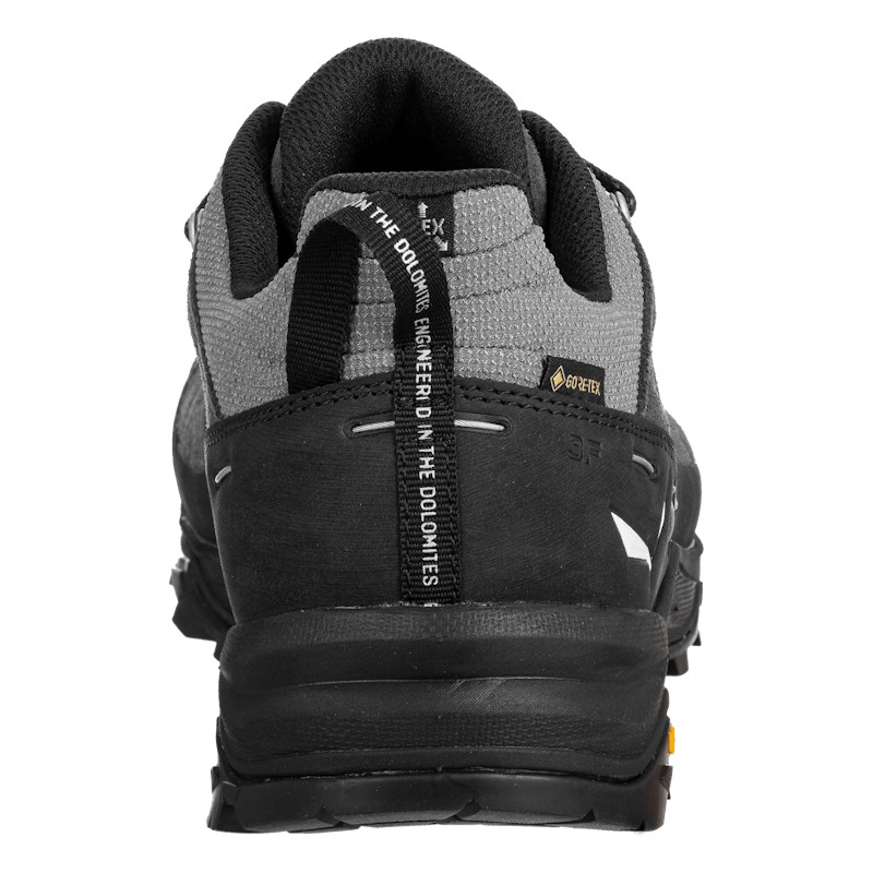 Alp Trainer 2 Gore-Tex® Shoe Men