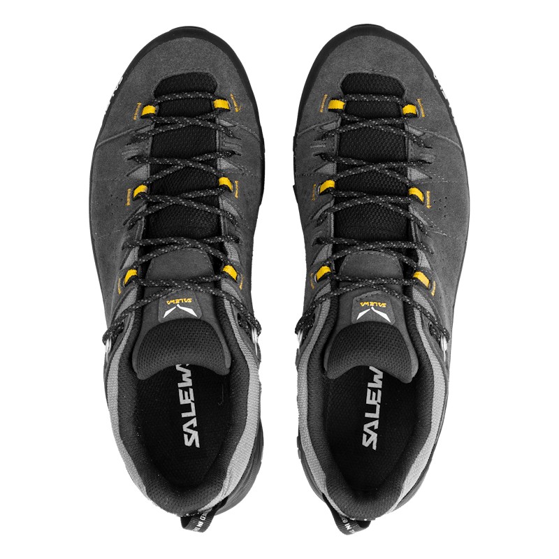 Alp Trainer 2 Gore-Tex® Shoe Men