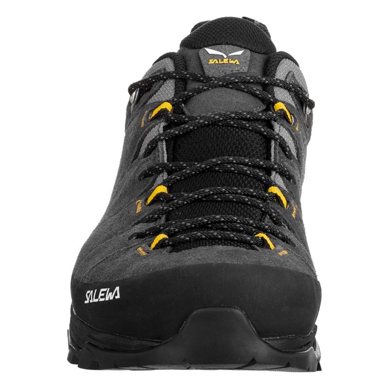 Alp Trainer 2 Gore-Tex® Shoe Men