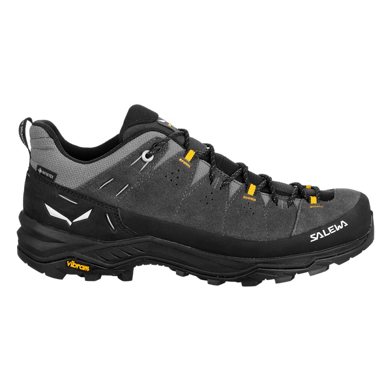 Alp Trainer 2 Gore-Tex® Shoe Men
