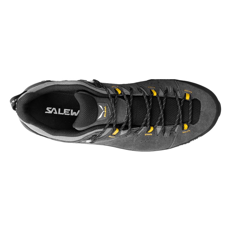 Alp Trainer 2 Gore-Tex® Shoe Men