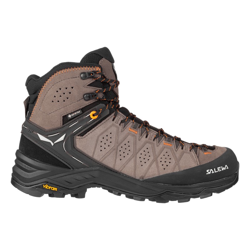 Alp Trainer 2 Mid GORE-TEX® Men's Shoe