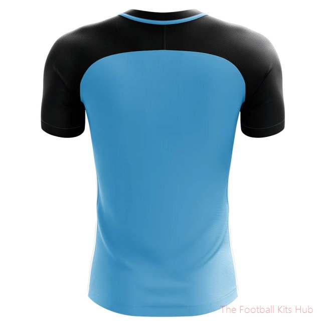 2025-2026 Botswana Home Concept Football Shirt - Womens-unisoccer store