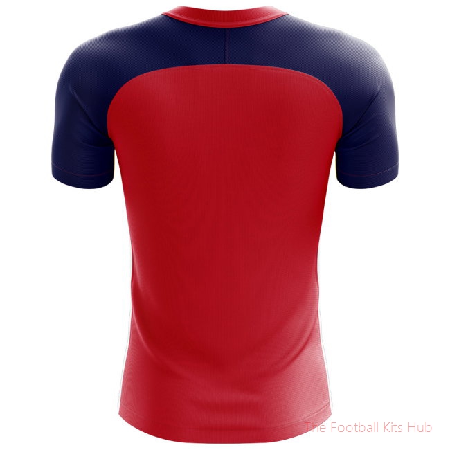 2025-2026 Norway Flag Concept Football Shirt - Womens-unisoccer store