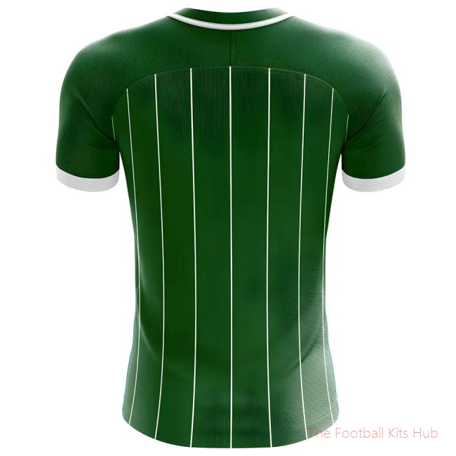 2025-2026 Northern Ireland Home Concept Football Shirt - Womens-unisoccer store