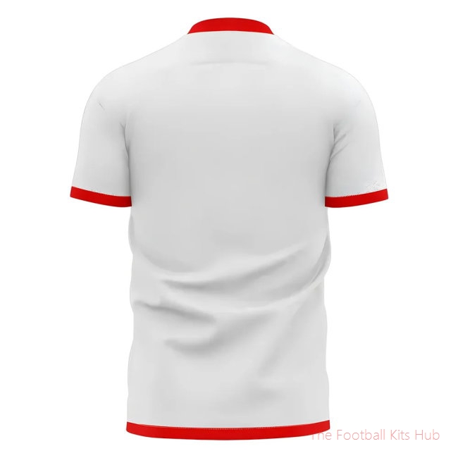 Algeria 2025-2026 Home Concept Football Shirt (Libero)-unisoccer store