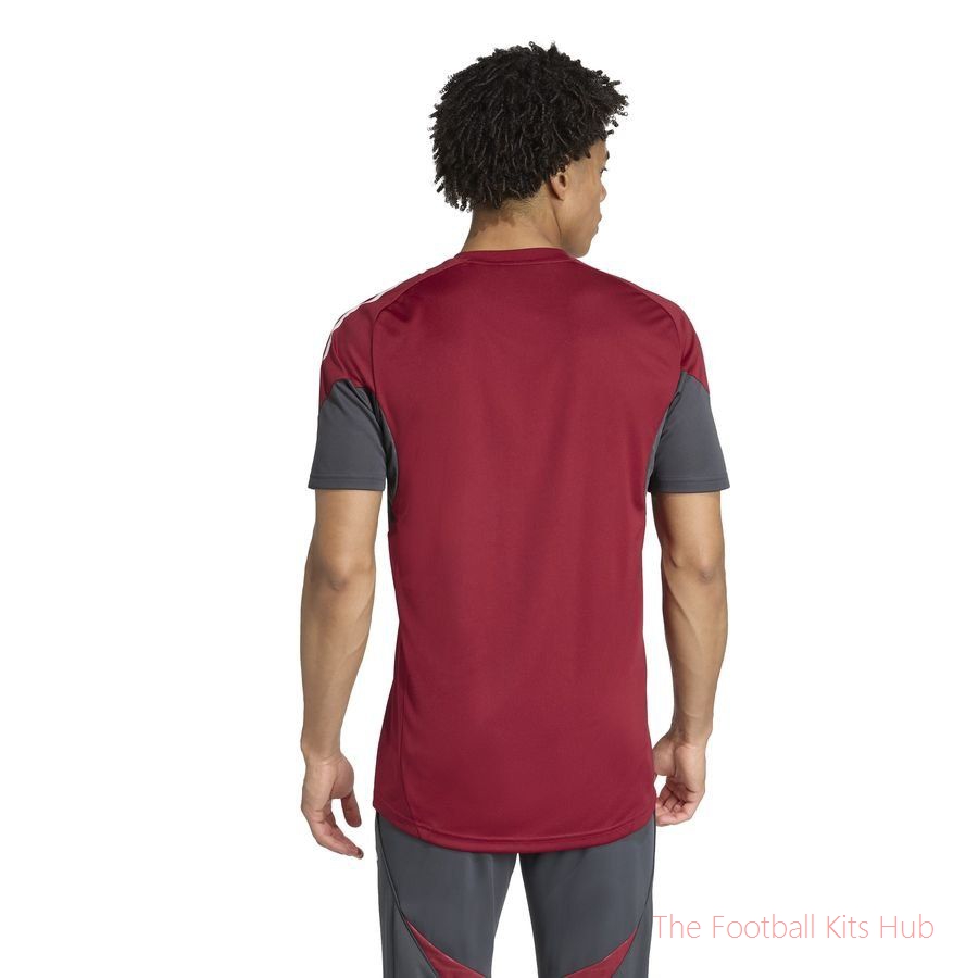 Arsenal Training T-Shirt Tiro 25 EU - Collegiate Burgundy/Dark Grey-unisoccer store
