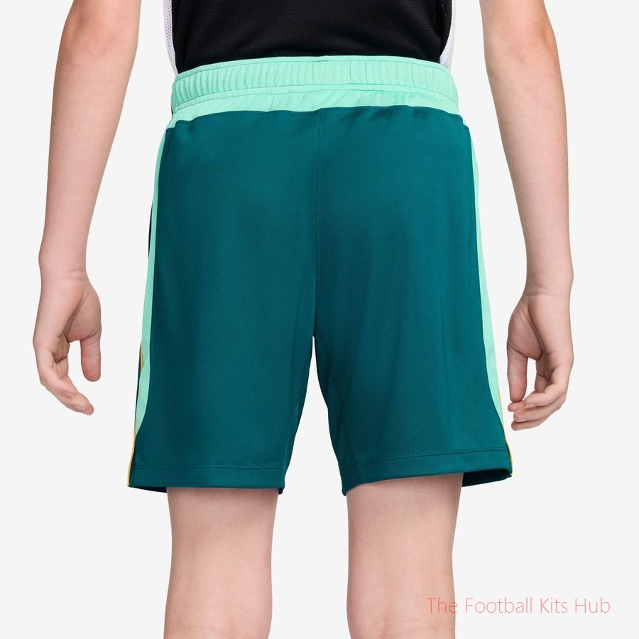 Brazil Training Shorts Dri-FIT Academy Pro World Cup 2026 - Geode Teal/Light Menta/Midwest Gold Kids-unisoccer store