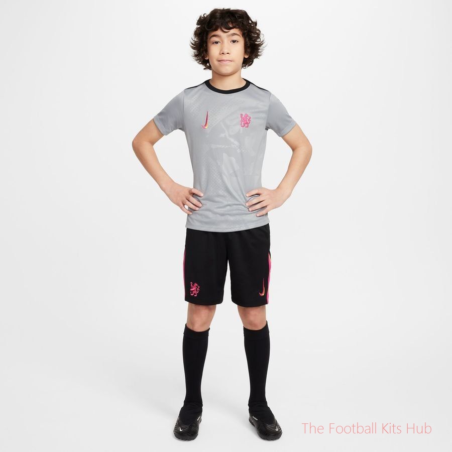 Chelsea Training T-Shirt Dri-FIT Academy Pro Pre Match 3rd - Particle Grey/Black/Pink Prime Kids-unisoccer store