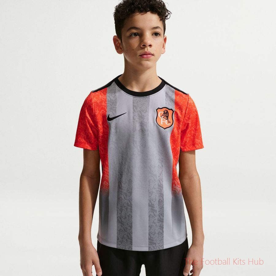 Chelsea Training T-Shirt Dri-FIT Academy Pro Pre Match SE - Wolf Grey/Turf Orange/Blue Kids-unisoccer store