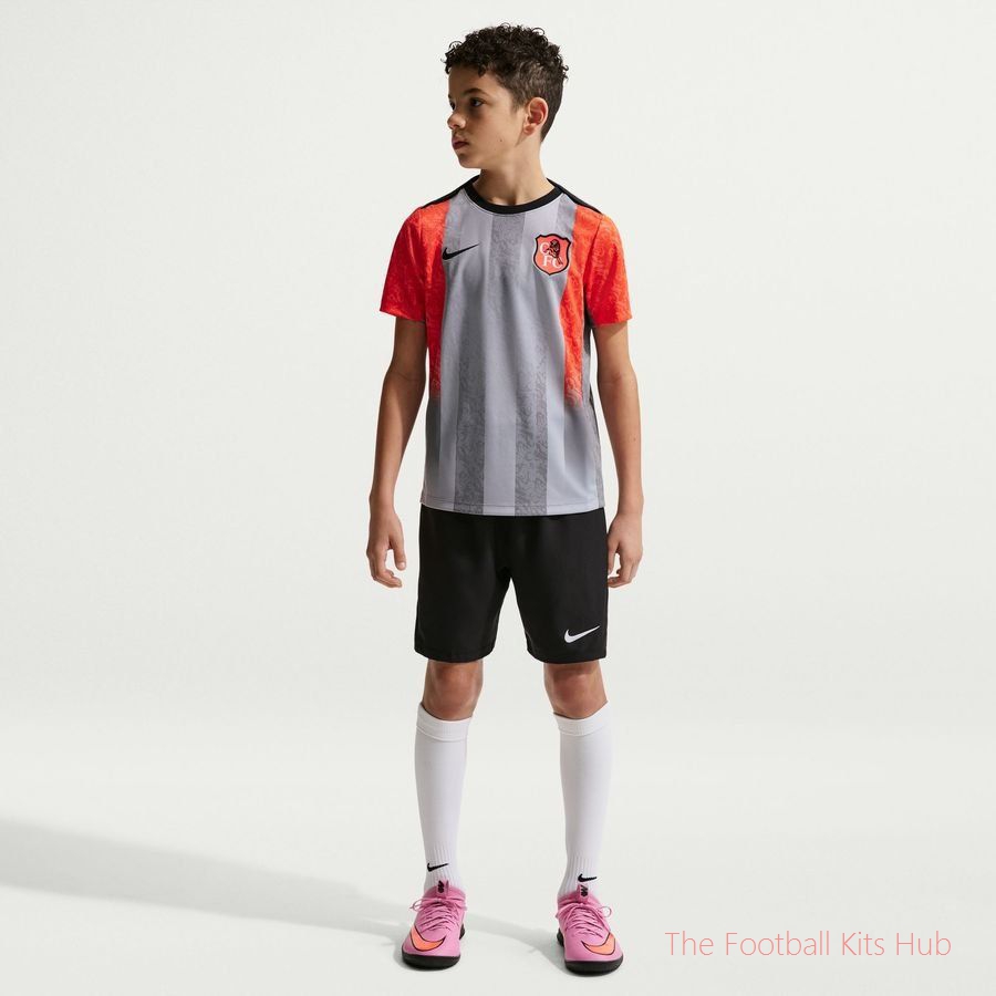 Chelsea Training T-Shirt Dri-FIT Academy Pro Pre Match SE - Wolf Grey/Turf Orange/Blue Kids-unisoccer store