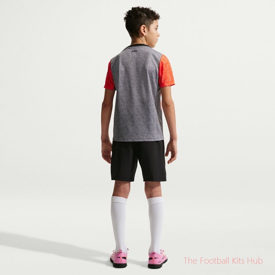 Chelsea Training T-Shirt Dri-FIT Academy Pro Pre Match SE - Wolf Grey/Turf Orange/Blue Kids-unisoccer store