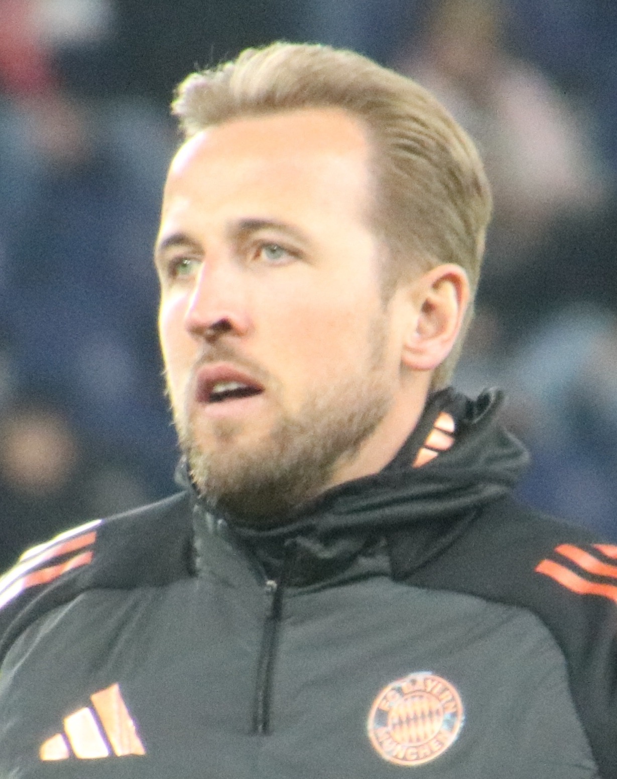 Harry Kane tribute portrait