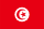 Tunisia national flag