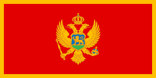Montenegro national flag