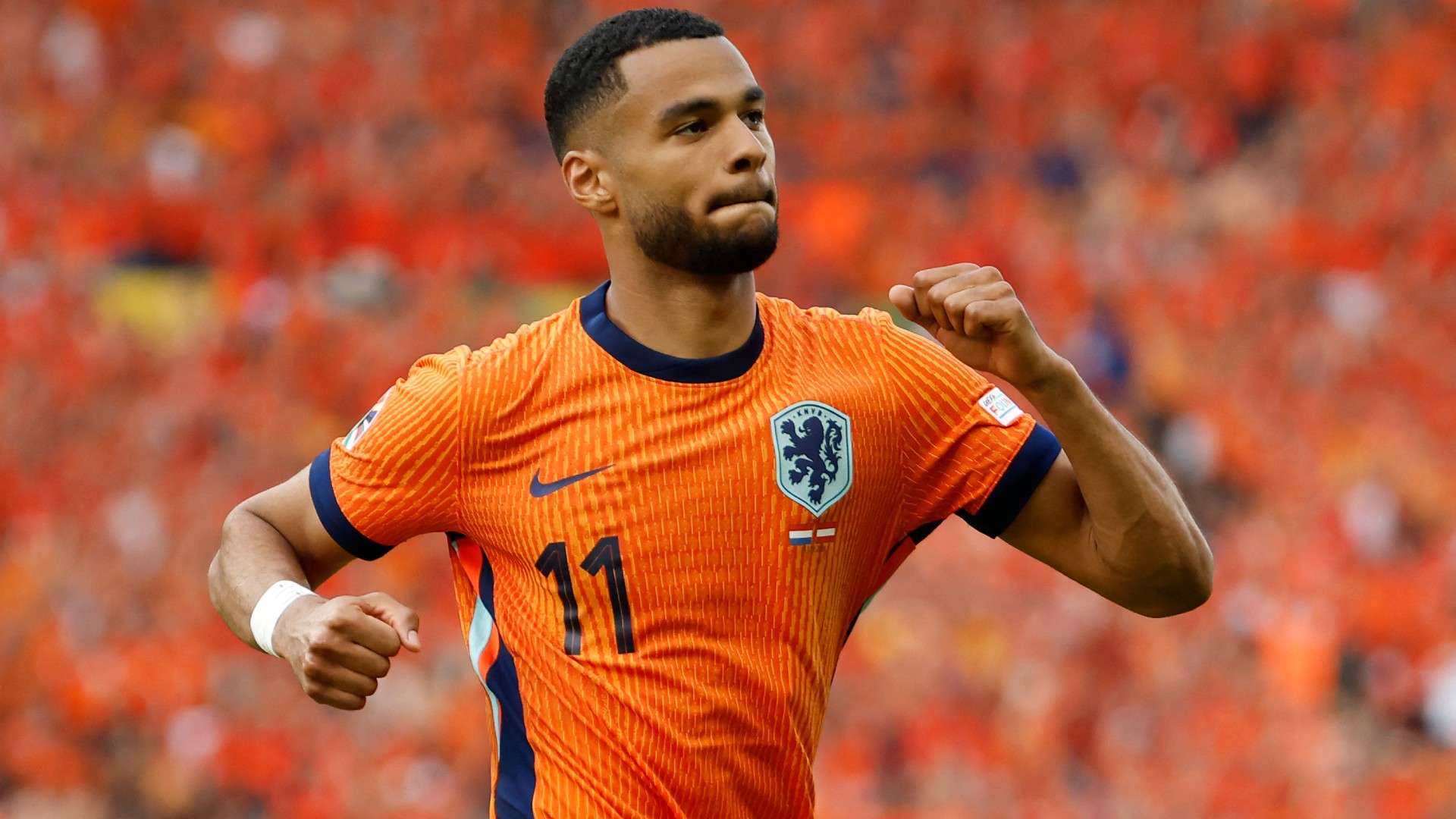Cody Gakpo Netherlands World Cup 2026