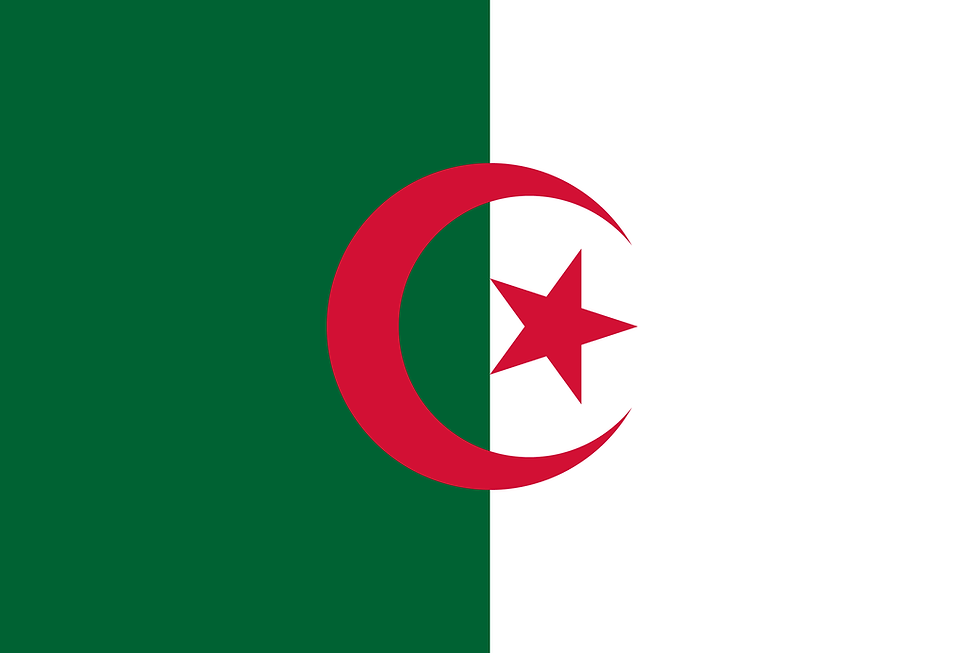 Algeria national flag
