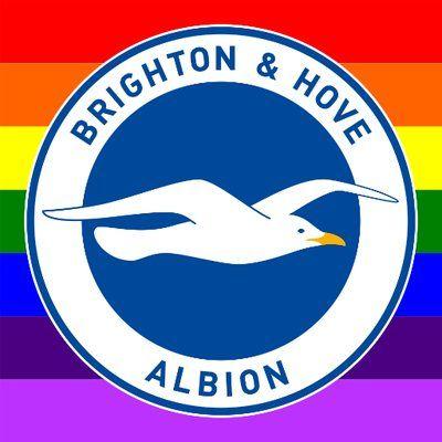 Brighton & Hove Albion logo