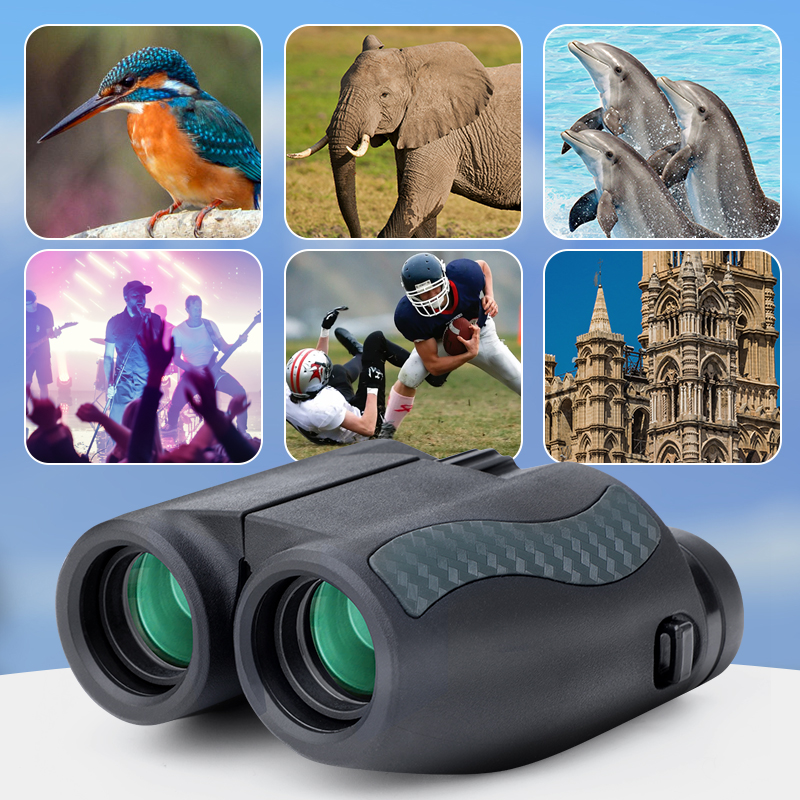 Kaisio Scout P1 10×25 Binoculars