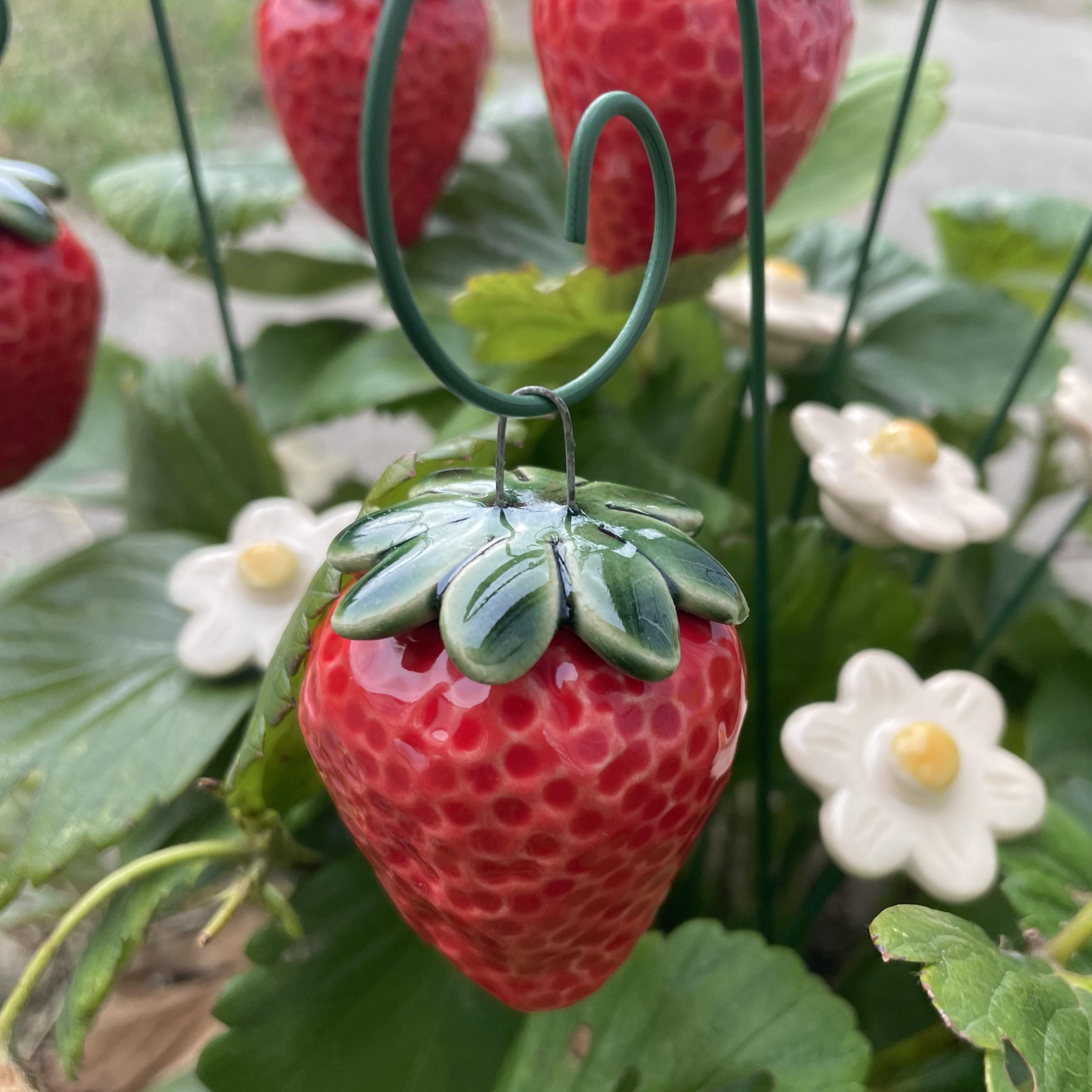 Ceramic Strawberry Plant Marker, Lawn & Yard Decoration