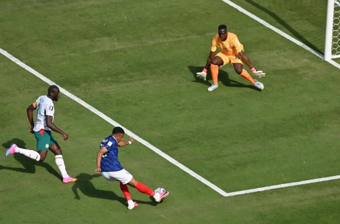 France Team Celebration