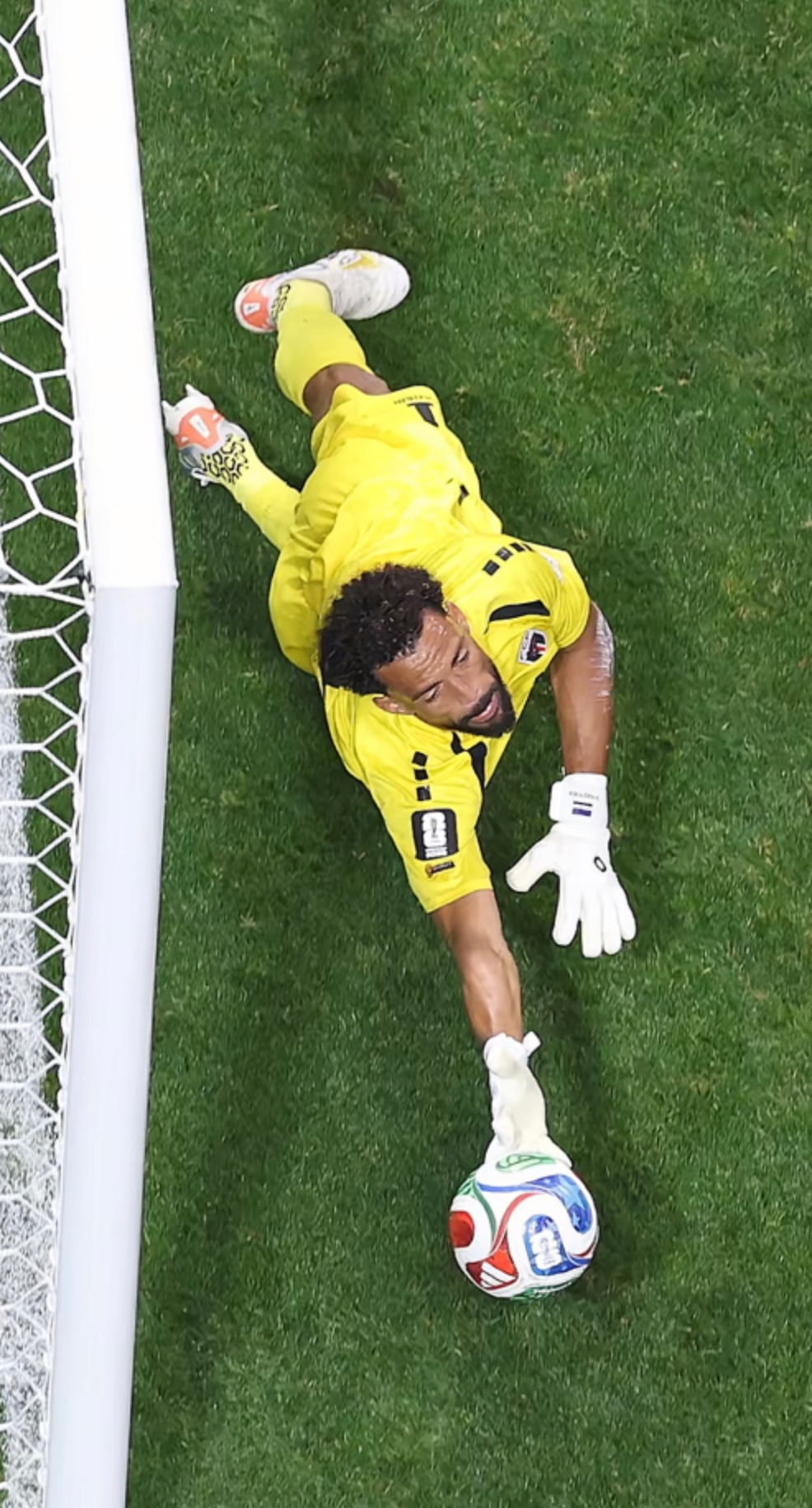 Vozinha Incredible Save