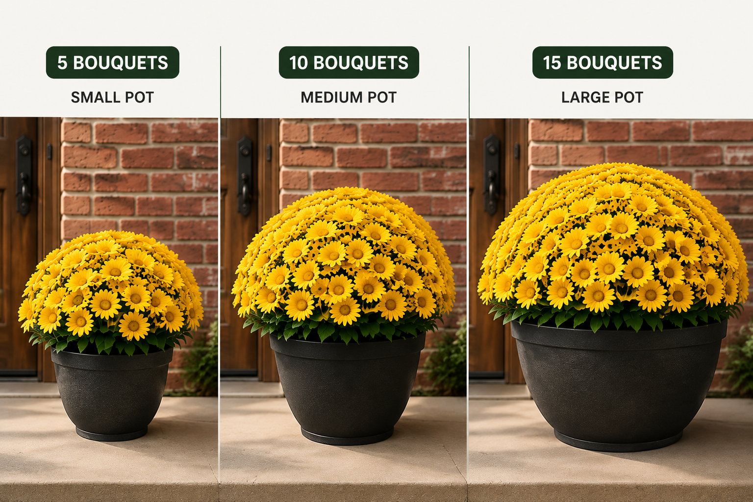 Size guide comparing 5 bouquets in a small pot, 10 in a medium pot, and 15 in a large pot