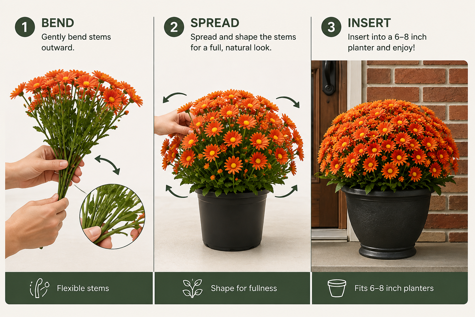 Step-by-step diagram showing flexible stems being bent, spread, and inserted into a 6–8 inch planter