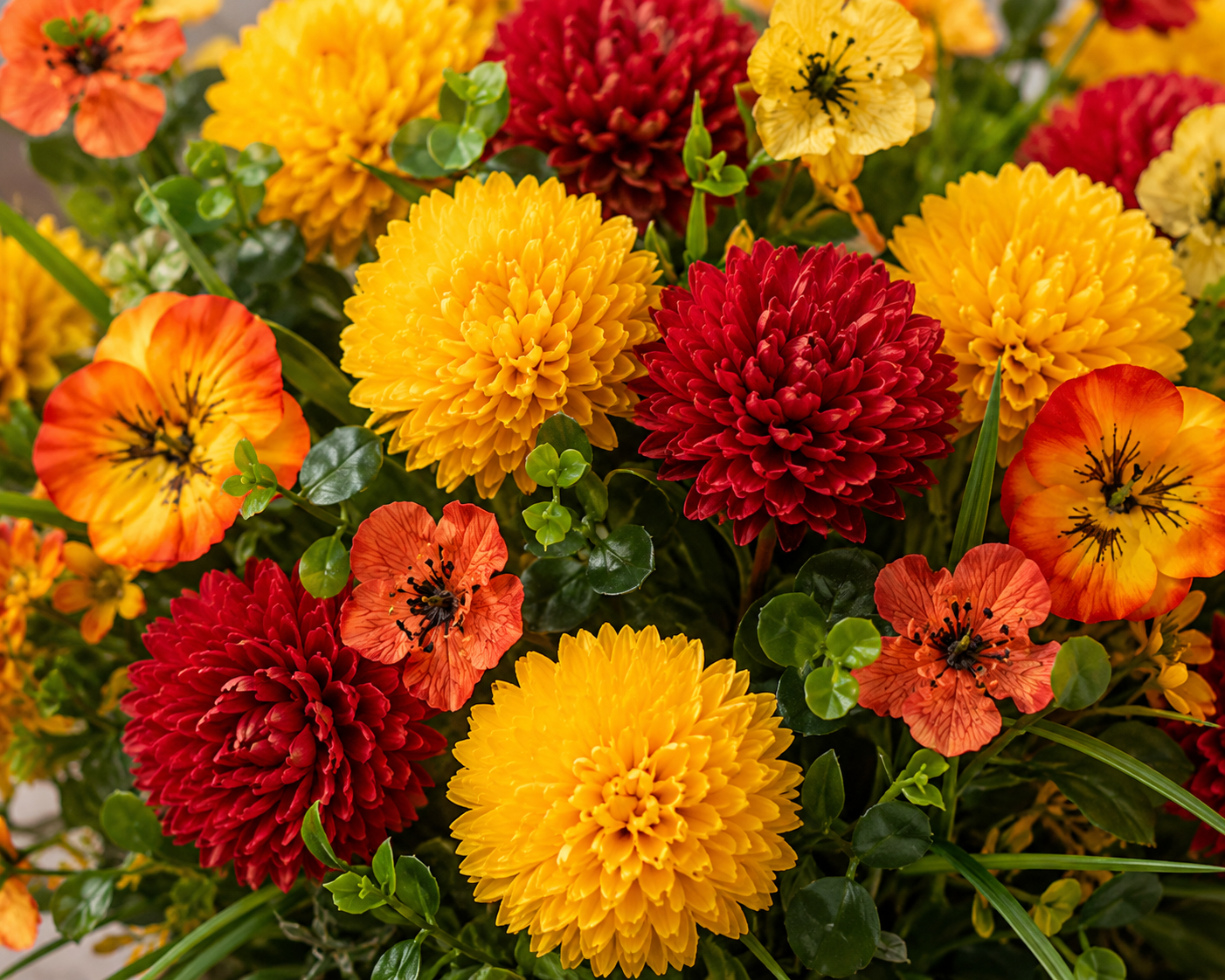 Close-up image showing pom-pom blooms, two-tone petals, accent flowers, and realistic greenery