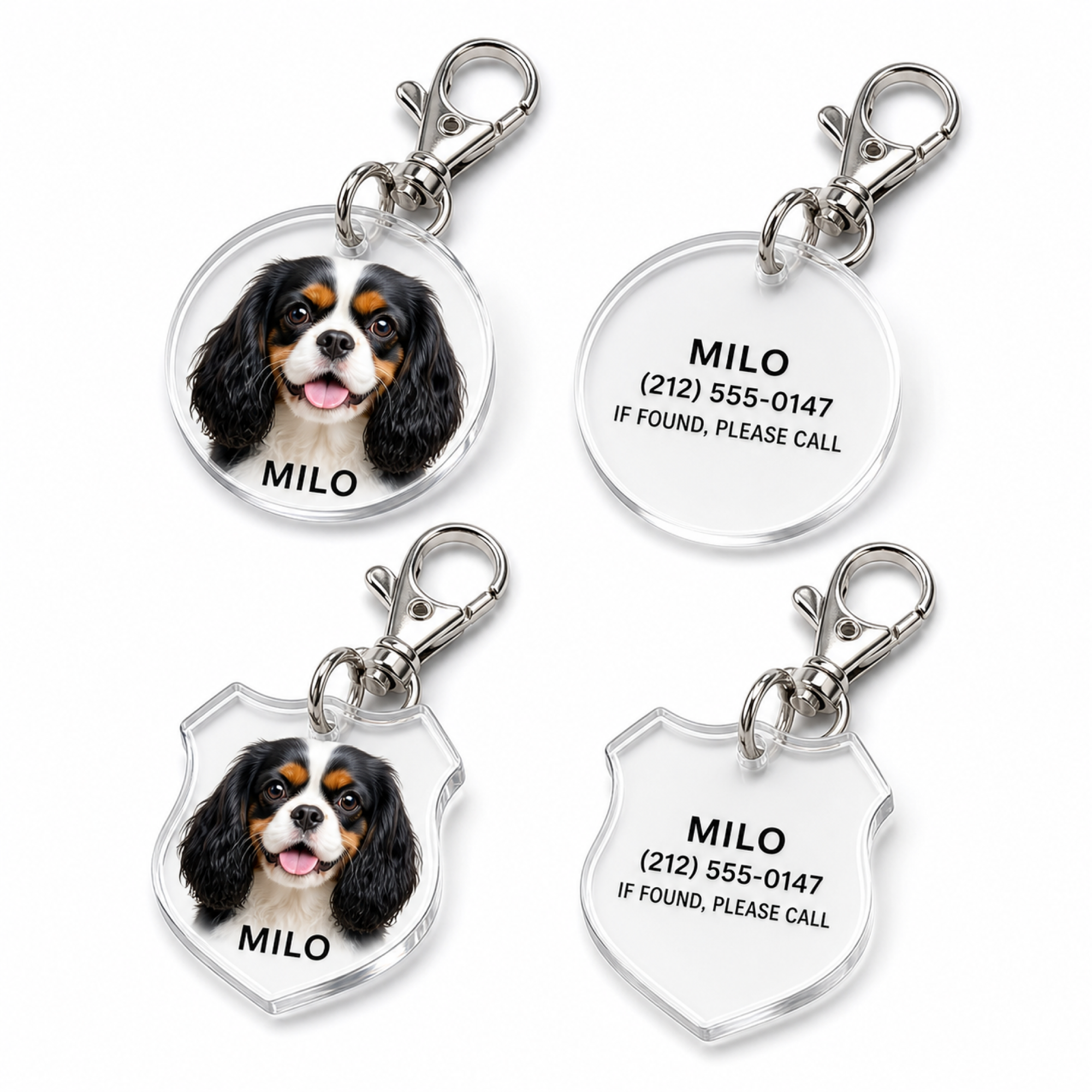 Pet ID Tag