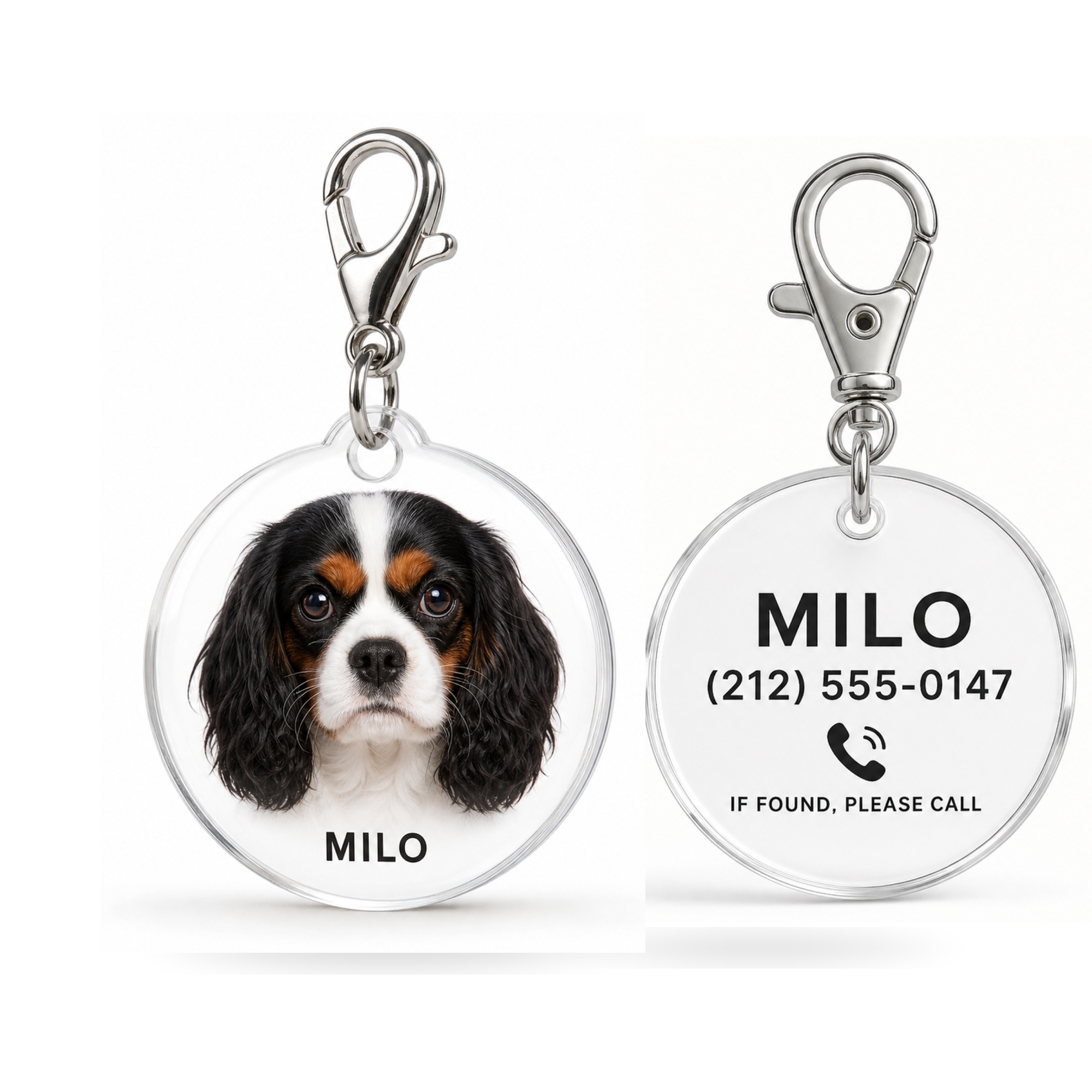 Pet ID Tag