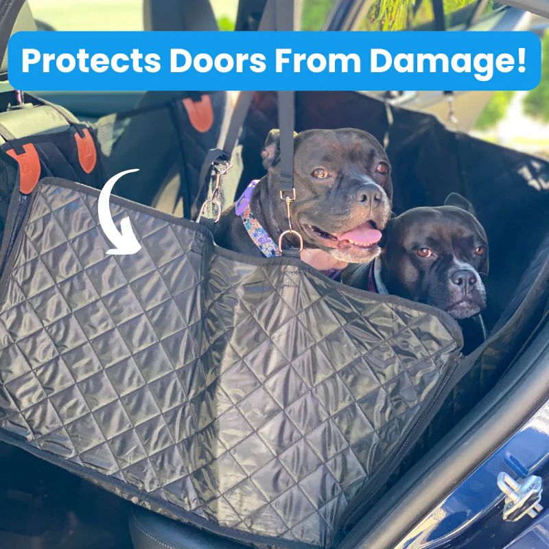 Rider™2.0🐾Hard-Bottom Seat Protector for Big Dogs