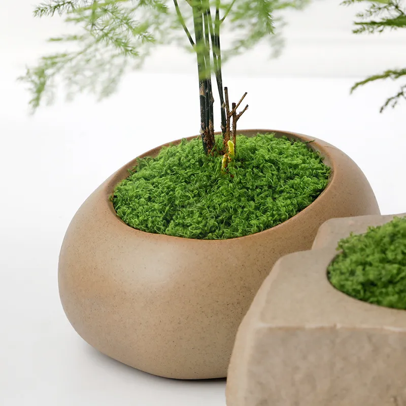 Green plant decorations