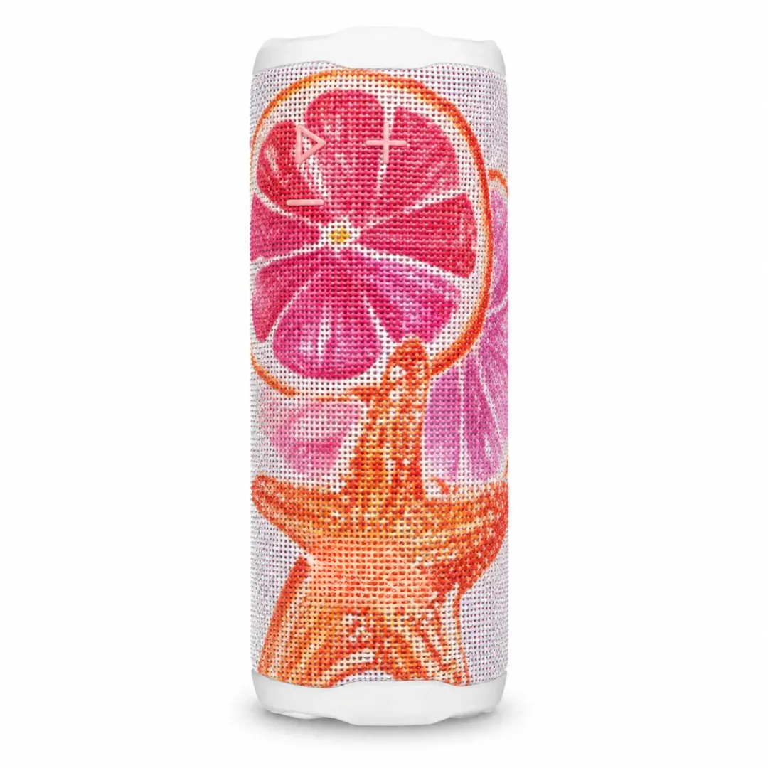 Summer Edition Speaker