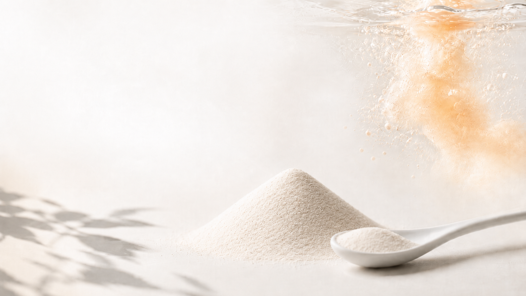 POWDER
