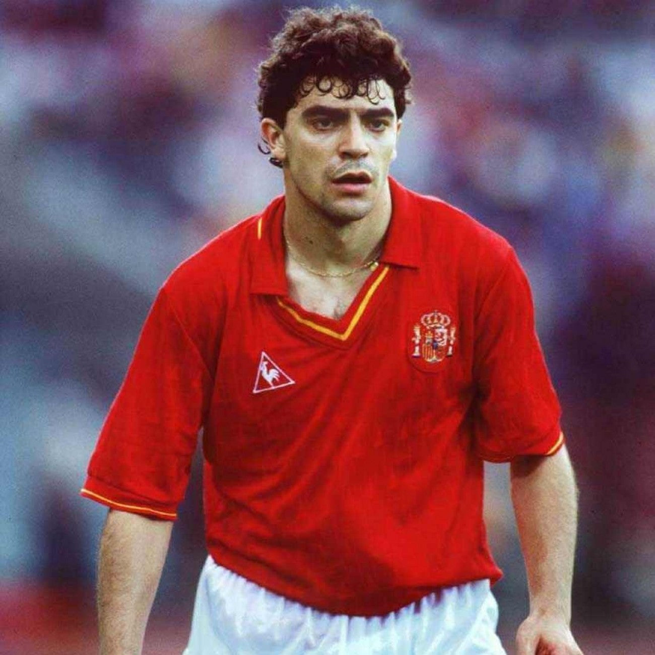 Spain 1988 (Home)