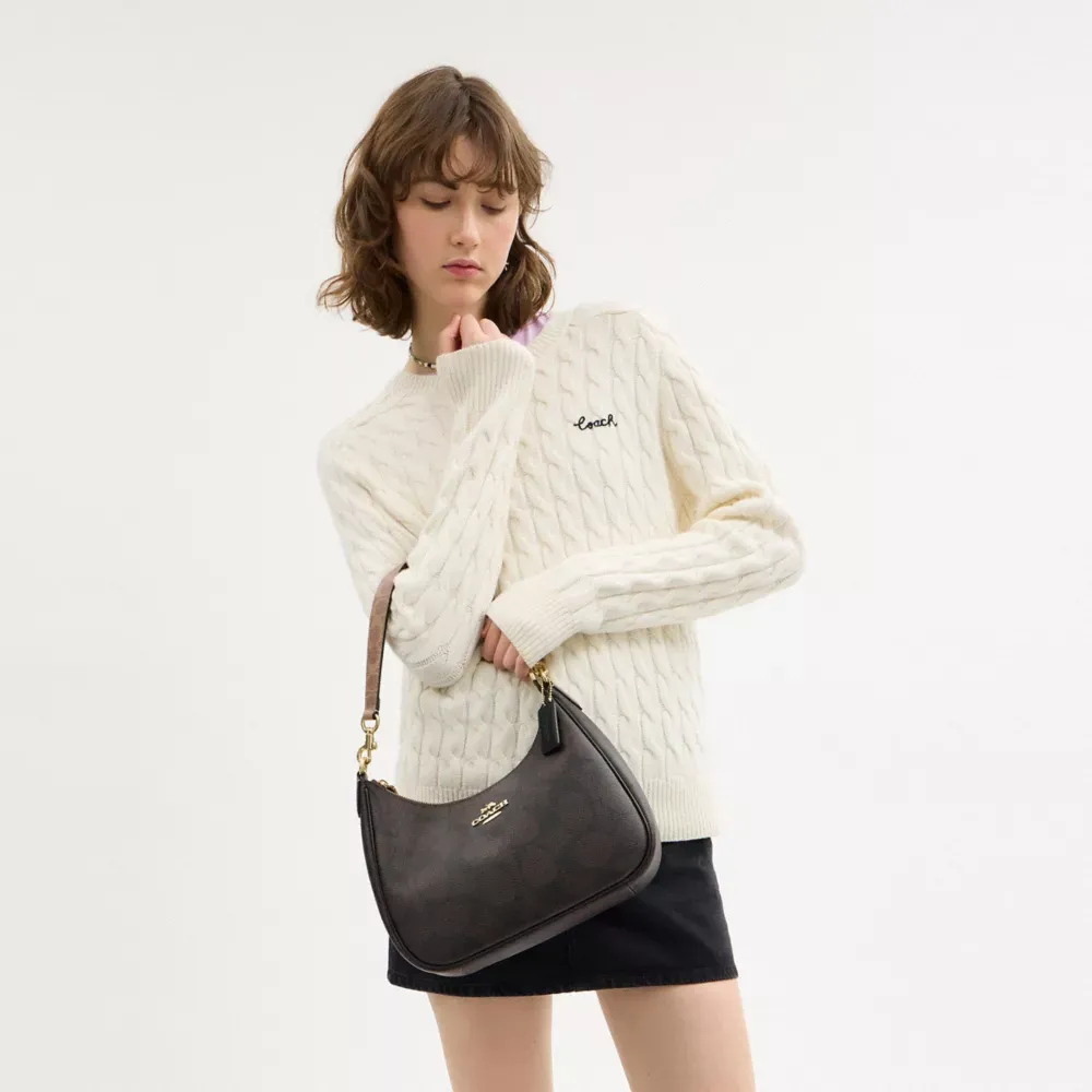 Teri Hobo Bag In Blocked Signature Canvas