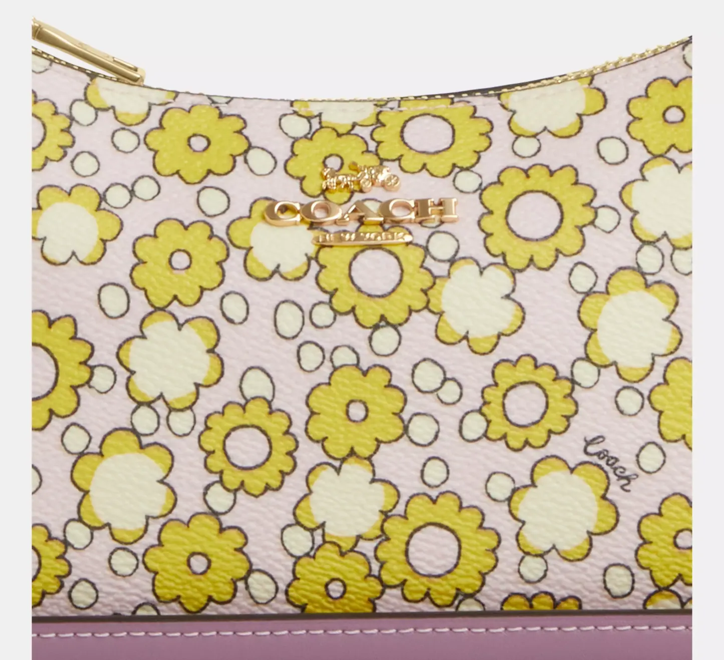 Teri Mini Crossbody Bag With Floral Print