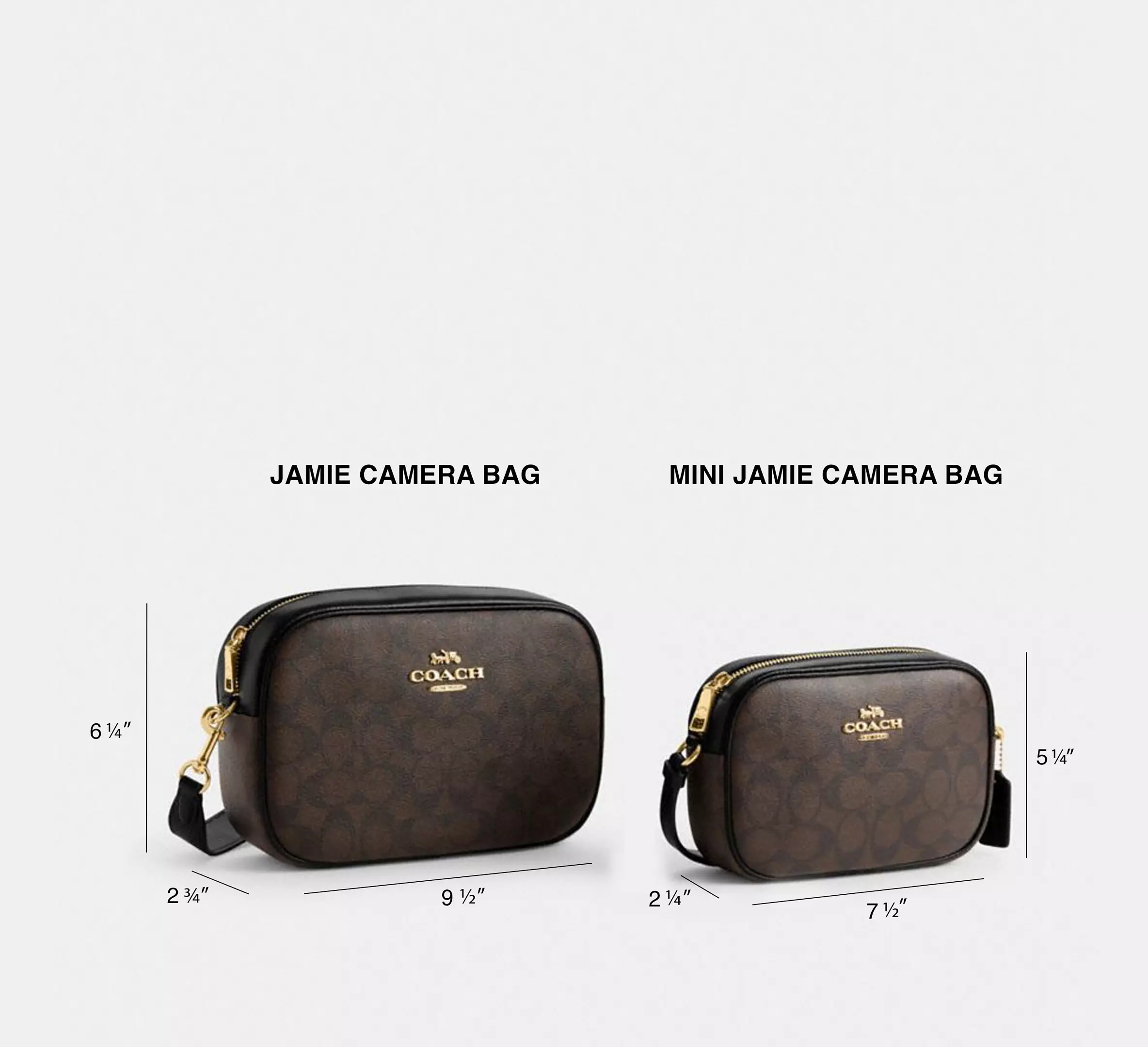 Mini Camera Bag In Signature Canvas