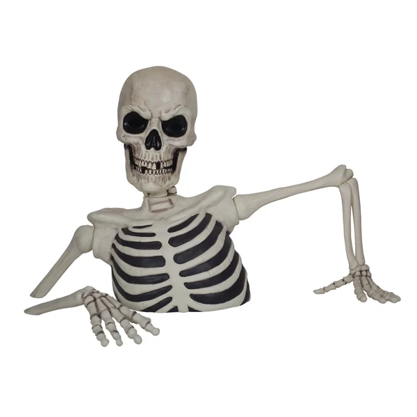 2026 Giant Ground Breaking Skeleton with LCD Eyes and Sound