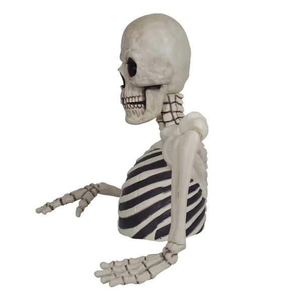 2026 Giant Ground Breaking Skeleton with LCD Eyes and Sound