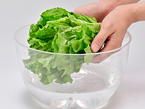 Salad Spinner