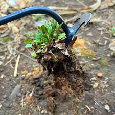 (🔥Spring Hot Sale- 30% OFF) New Weeding Artifact Uprooting Weeding Tool