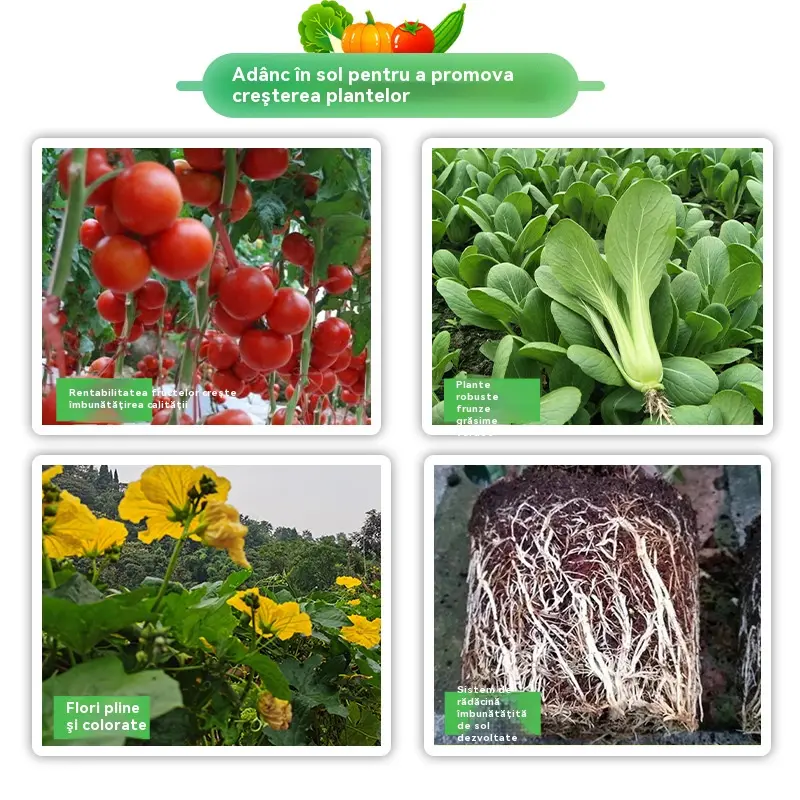 🌿Îngrășământ special pentru legume –🌱 ideal pentru grădini de balcon: varză, coriandru, ceapă verde, castraveți, roșii – utilizare prin amestec cu apă sau îngropare în sol 🌱