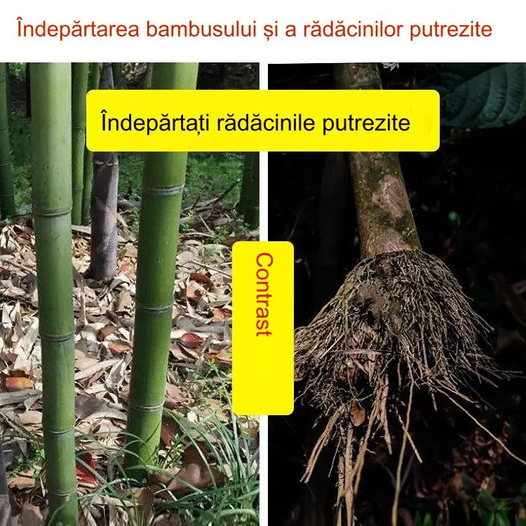 🔥【Formulă concentrată de înaltă calitate】👍🌱 Erbicid cicloazidinic,500G