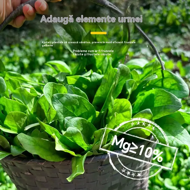 [30%OFF]🌿🌿Îngrășământ solubil în apă cu clorofilă, îngrășământ foliar pentru flori, pomi fructiferi și legume, promovează creșterea rădăcinilor, creșterea răsadurilor și crește randamentul. Îngrășământ agricol solubil în apă.