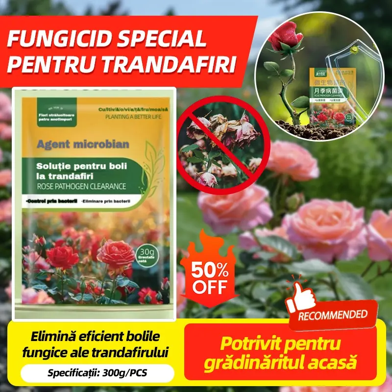 【30%OFF】🌹🌹【5/10/20 genți 】Fungicid special pentru trandafiri – elimină eficient bolile fungice ale trandafirului